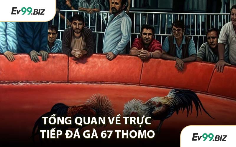 Tổng Quan Về Trực Tiếp Đá Gà 67 Thomo