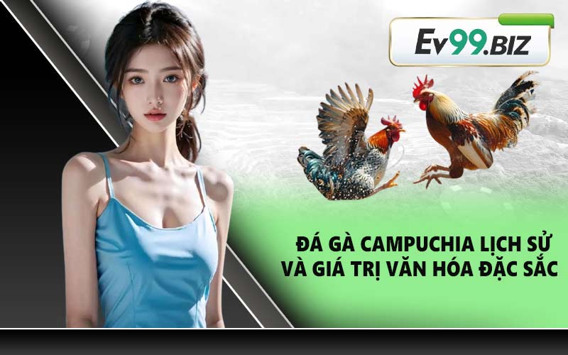 Đá gà Campuchia lịch sử và giá trị văn hóa đặc sắc
