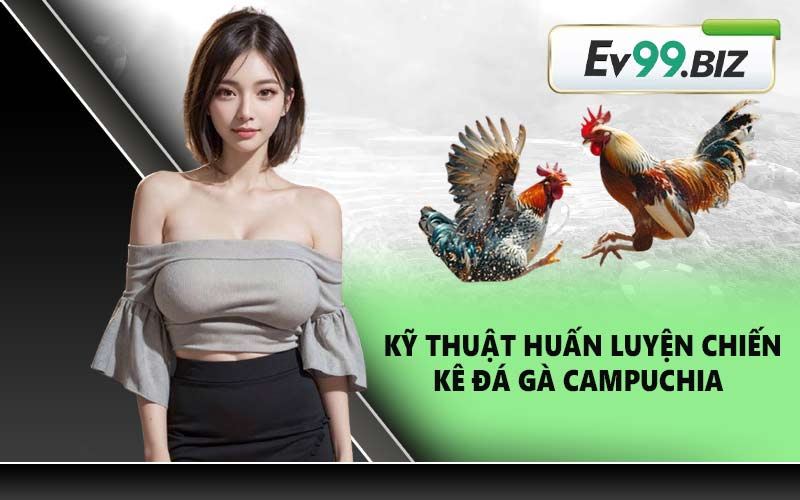 Kỹ thuật huấn luyện chiến kê đá gà Campuchia