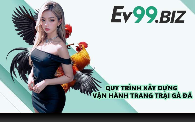 Quy trình xây dựng và vận hành trang trại gà đá